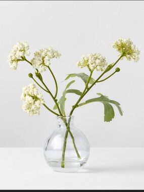 XS white sedum artificial arrangement- Hearth & Hand with Magnolia